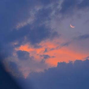 王祖贤一级毛片A片有哪些
