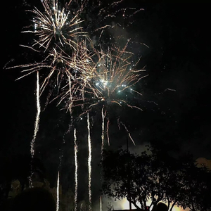 王祖贤一级毛片A片有哪些
